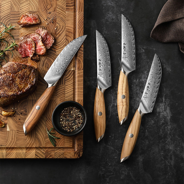 Hezhen X01 Flagship steakmessenset op een plank met steak en kruiden