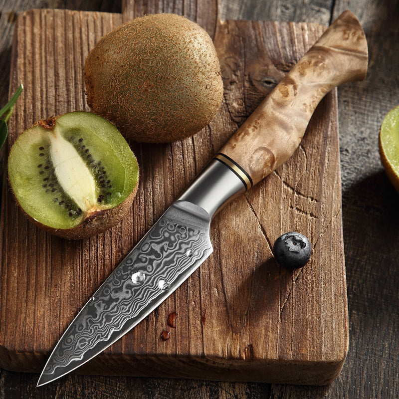 Hezhen B30 Master schilmes op plank met kiwi en bes