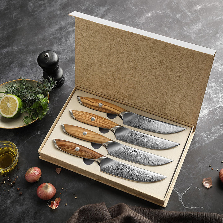Hezhen X01 Flagship steakmessenset in de geschenkdoos met limoen en kruiden
