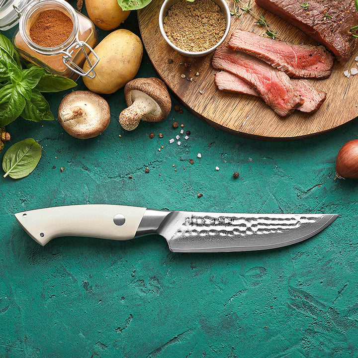 Hezhen B38H Elegant steakmes met wit handvat op groene ondergrond