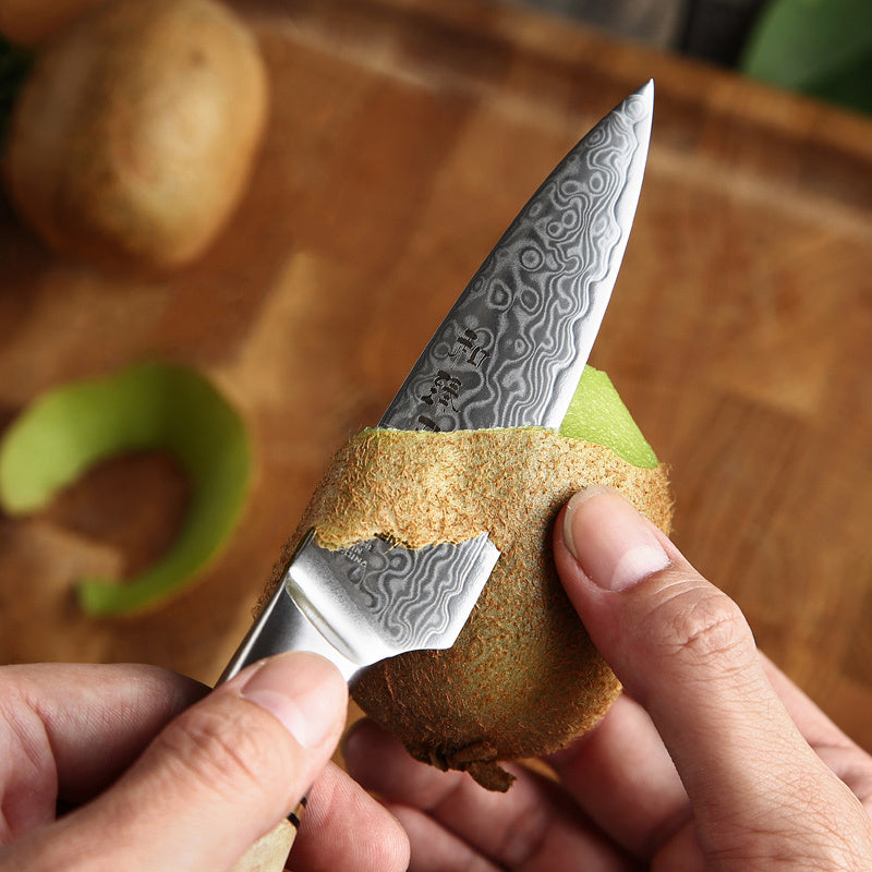 Hezhen B30 Master schilmes schilt een kiwi