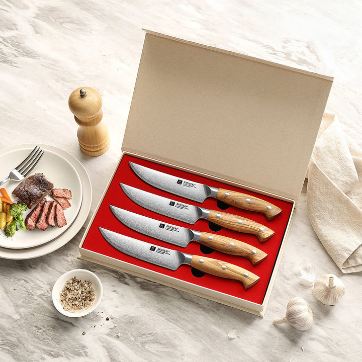 X02O Pin steakmessenset in opbergdoos met rode binnenkant