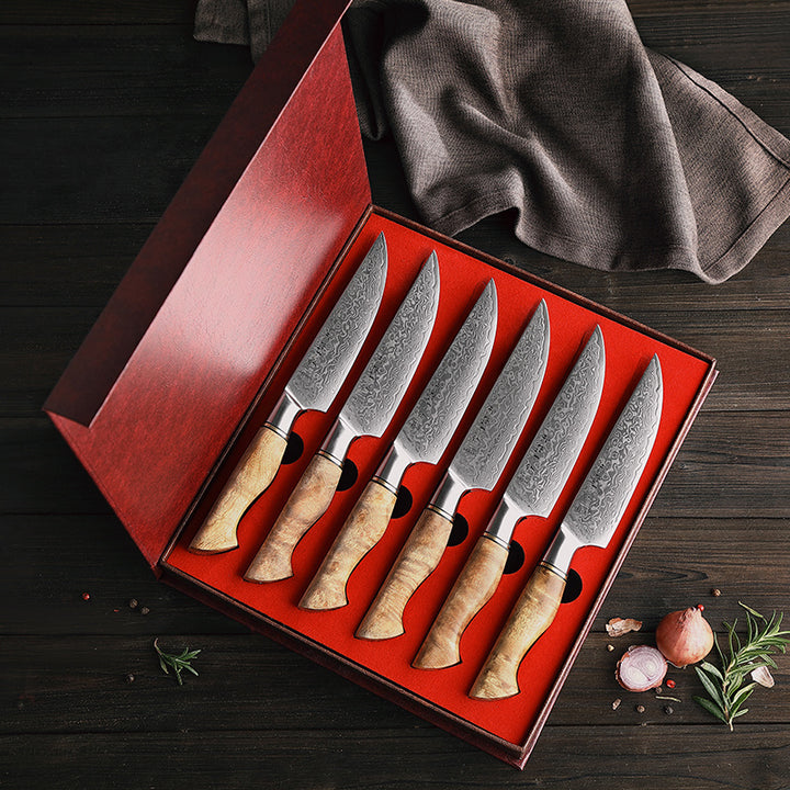 Hezhen B30 Master steakmessen in de geschenkdoos