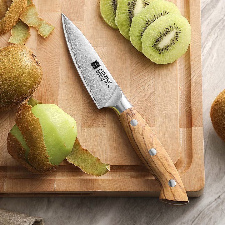 Schilmes van XinZuo X02O met gesneden kiwi&