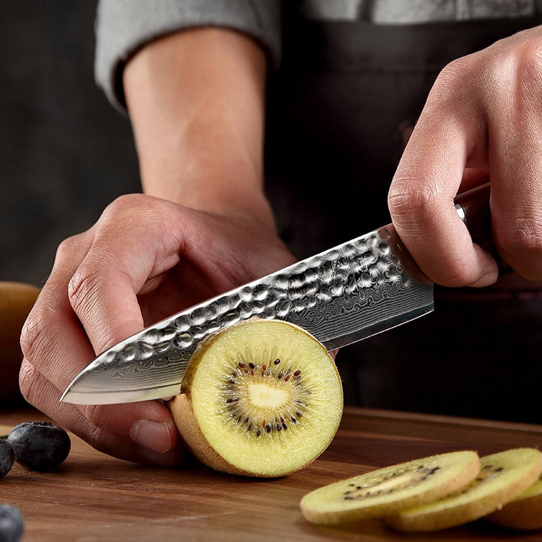 XinZuo B13D Yu groentemes snijdt een kiwi van dichtbij