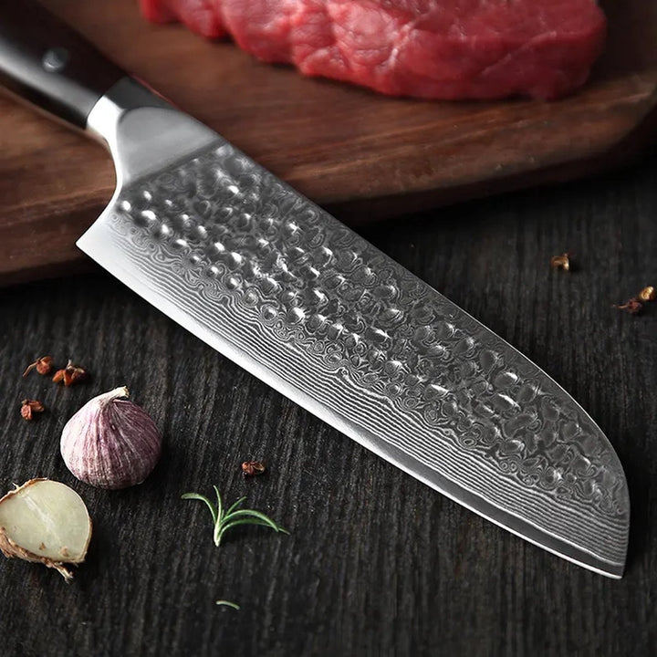 Detail van het lemmet van het B13H Yu santokumes met ingrediënten