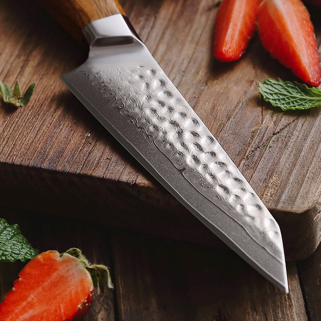 Lemmet van het B32D Feng groentemes met aardbeien en munt